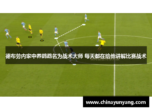 德布劳内家中养鹦鹉名为战术大师 每天都在给他讲解比赛战术