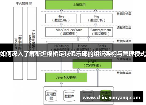 如何深入了解斯坦福桥足球俱乐部的组织架构与管理模式